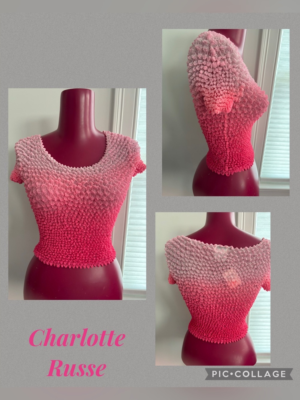 Charlotte Russe Sheer short sleeve multi colorFuchsia crop top Y2K vintage os